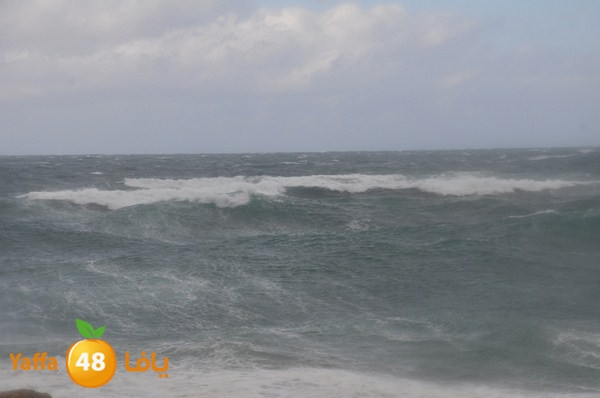 yaffa rain 1211 (37).JPG